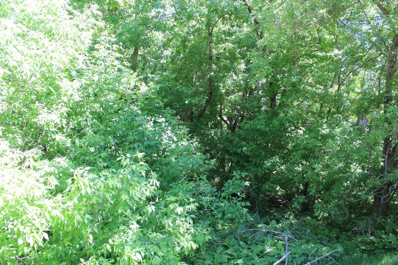 Lot 6 112th St NW, South Haven, MN 55382