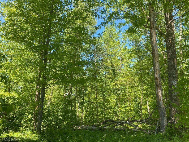 Lot 7 Blk 1 Fondie Ln, Nisswa, MN 56468