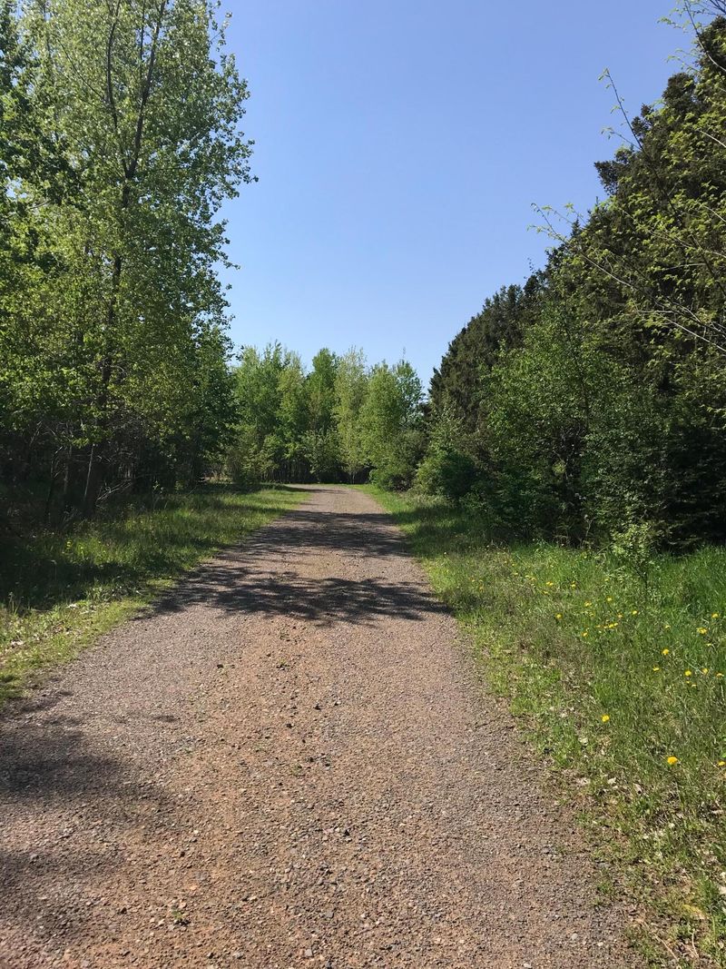 2042 160 Ave, Centuria, WI 54824