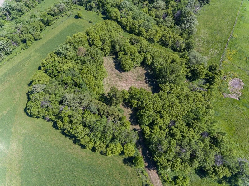 26120 Jasmine Rd, Fountain, MN 55935