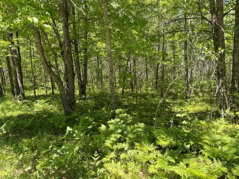 14192 County Road 116, Merrifield, MN 56465