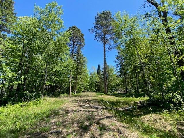 18605 Natures Edge Dr, Lake George, MN 56458