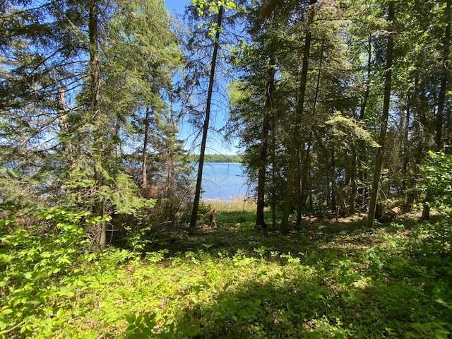 18605 Natures Edge Dr, Lake George, MN 56458