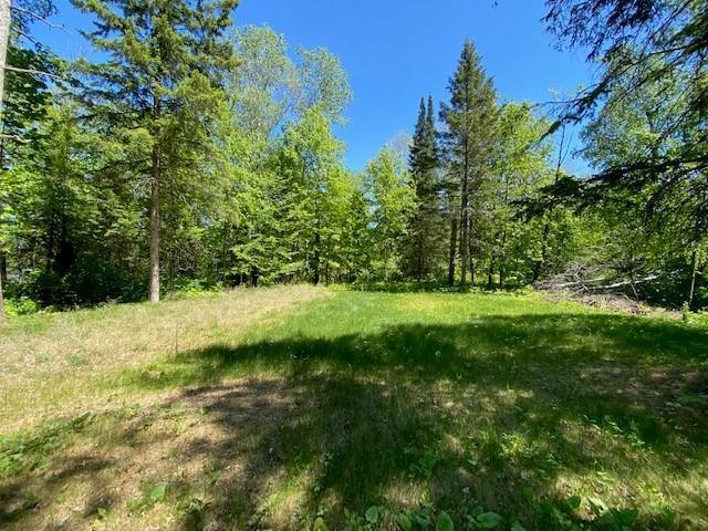 18605 Natures Edge Dr, Lake George, MN 56458