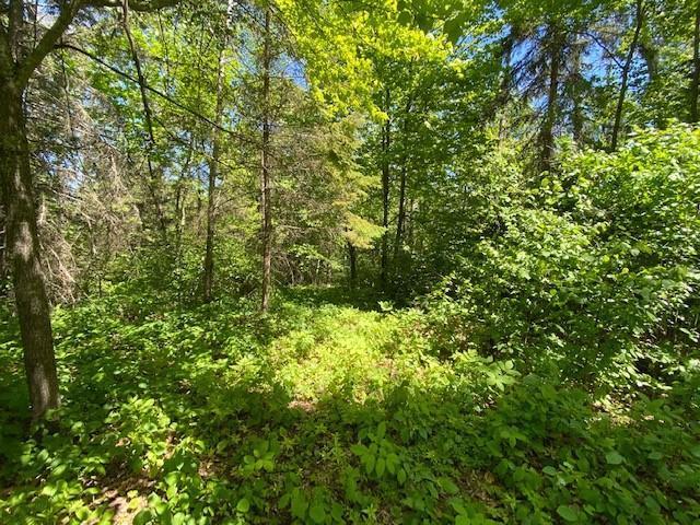 18605 Natures Edge Dr, Lake George, MN 56458