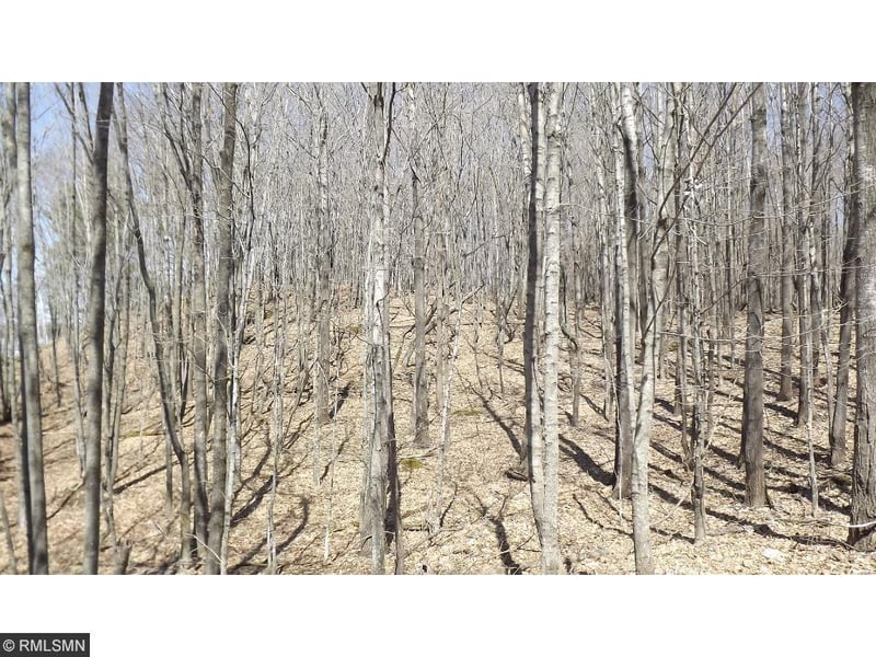XXXXX Battle Point Rd, Deerwood, MN 56444