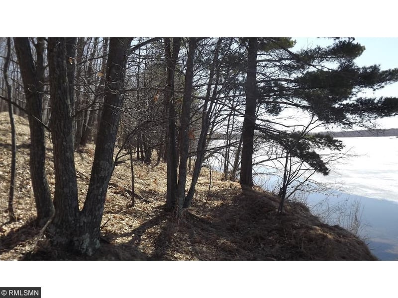 XXXXX Battle Point Rd, Deerwood, MN 56444