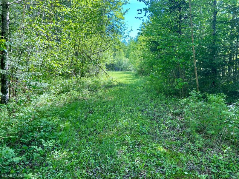 XYZ Park Hills Rd, Bruno, MN 55712
