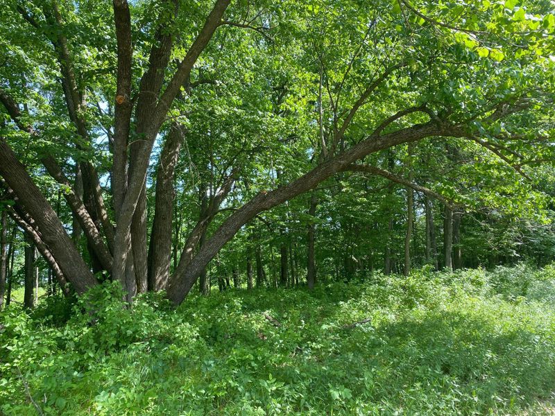 xx Heron Lake Rd, Brainerd, MN 56401