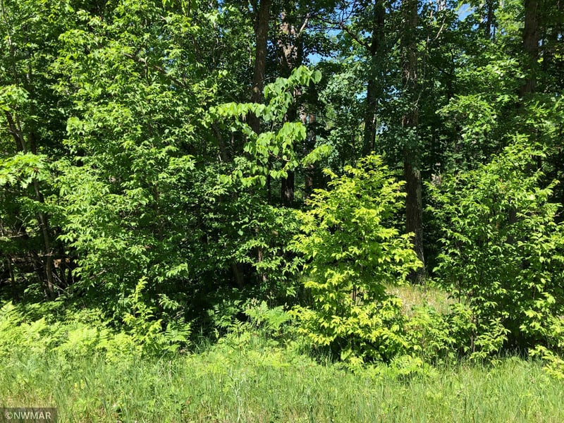 TBD Sunrise Dr, Becida, MN 56678