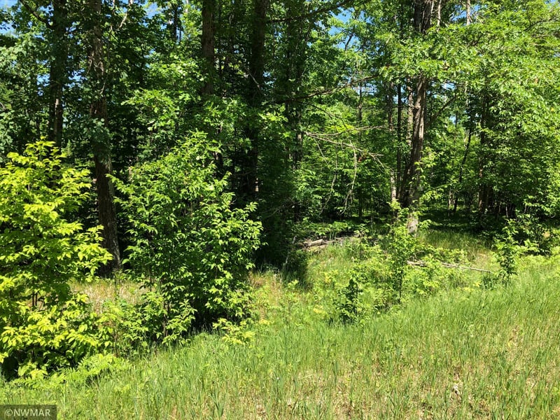 TBD Sunrise Dr, Becida, MN 56678