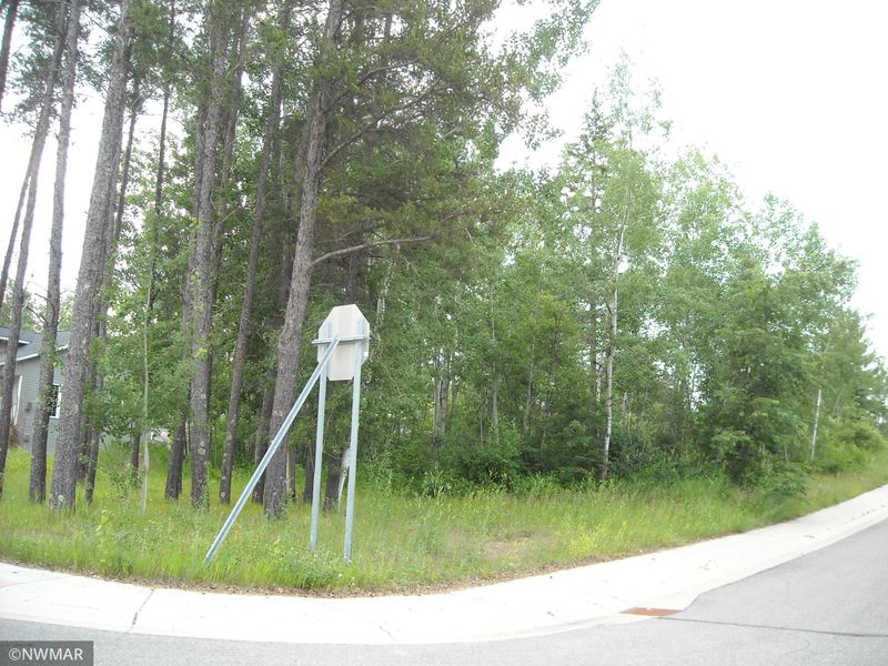 TBD Valley St SW, Bagley, MN 56621