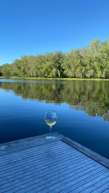 15101 Riverside Ave N, Marine On Saint Croix, MN 55047