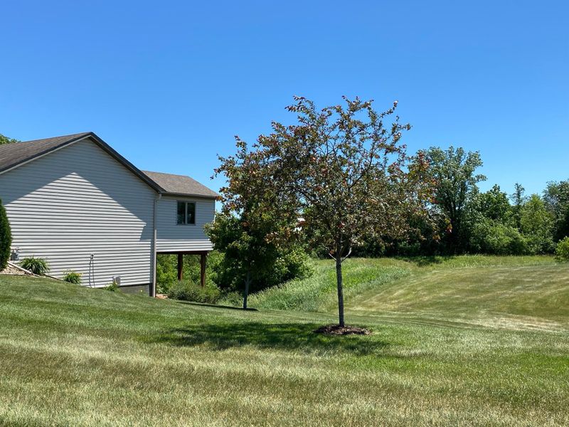 307 Skogen Ln, Kenyon, MN 55946