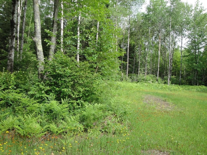 TBD Us Highway 2, Swan River, MN 55784