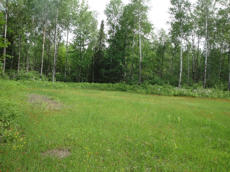 TBD Us Highway 2, Swan River, MN 55784