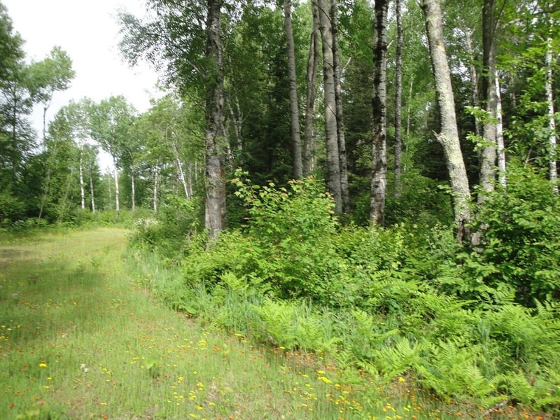 TBD Us Highway 2, Swan River, MN 55784