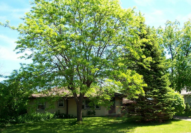 8801 Grenadier Ave S, Cottage Grove, MN 55016
