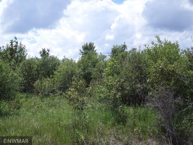 TBD 330th St NW, Middle River, MN 56737