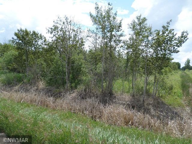 TBD 330th St NW, Middle River, MN 56737