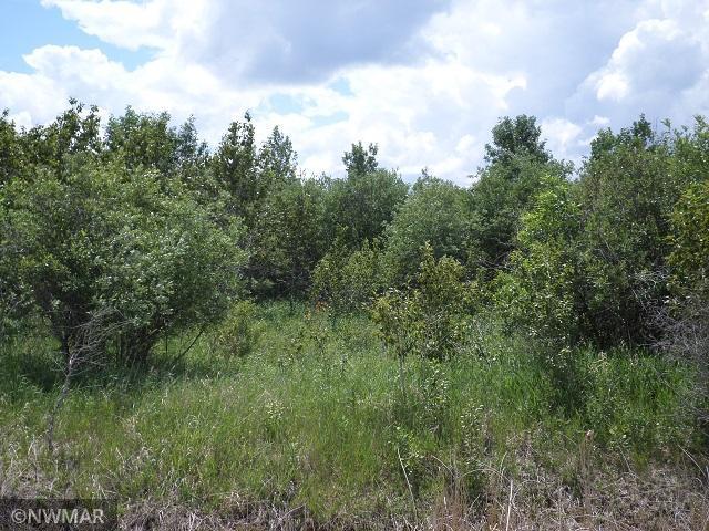 TBD 330th St NW, Middle River, MN 56737