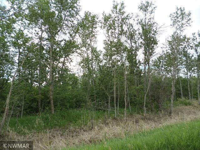 TBD 330th St NW, Middle River, MN 56737
