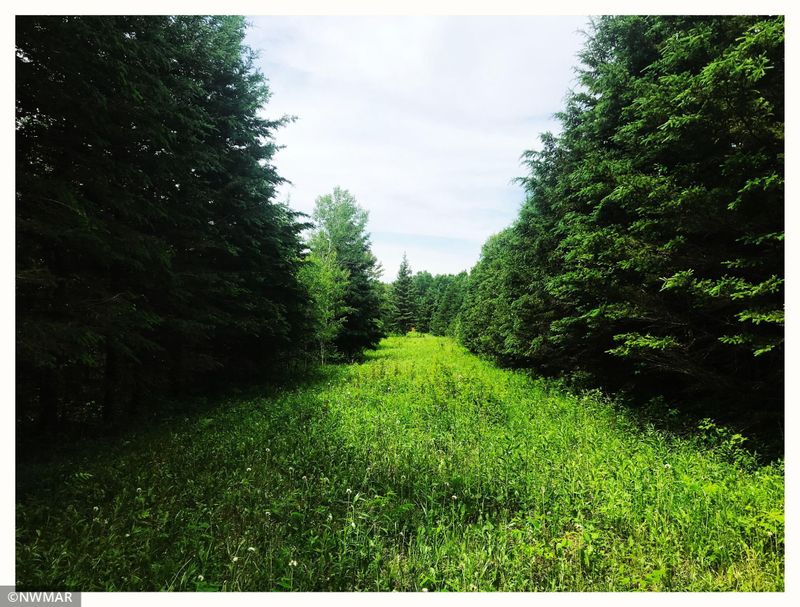 28063 Highway 71 NE, Blackduck, MN 56630