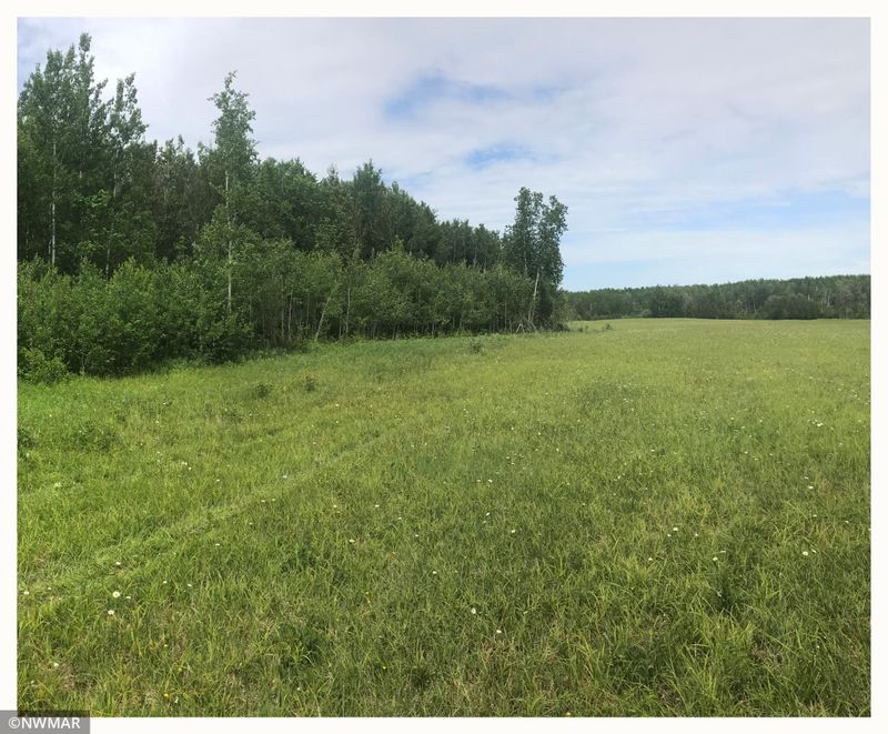 28063 Highway 71 NE, Blackduck, MN 56630