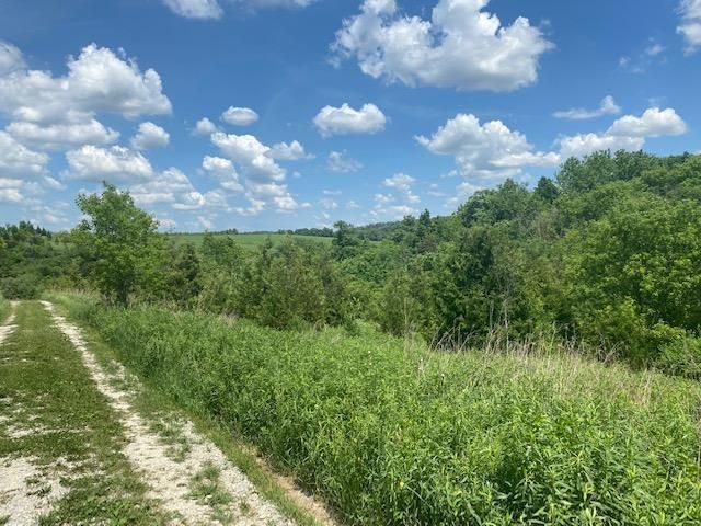 19063 County 8, Mabel, MN 55954