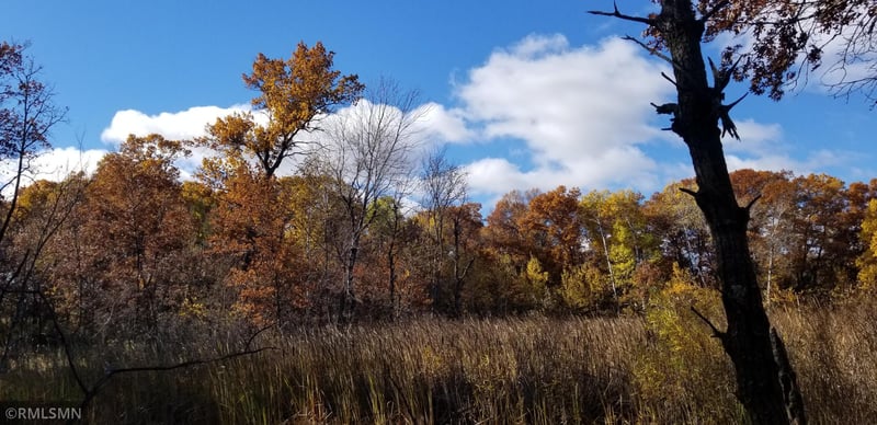 19476 Crocus St NW, Oak Grove, MN 55011