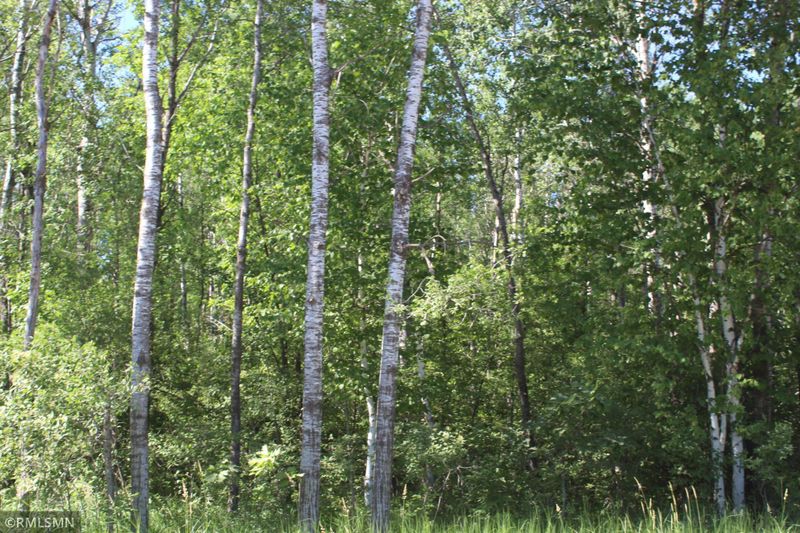 11ab 180th Ave, Ogilvie, MN 56358