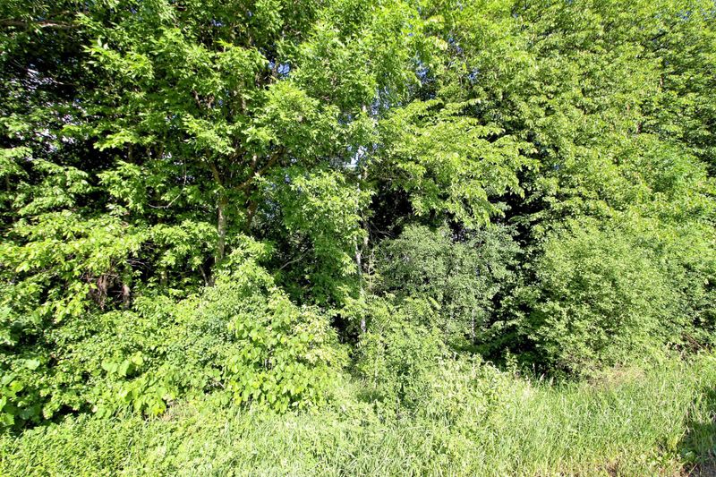 11920 SE Tilton Trl N, Rogers, MN 55374