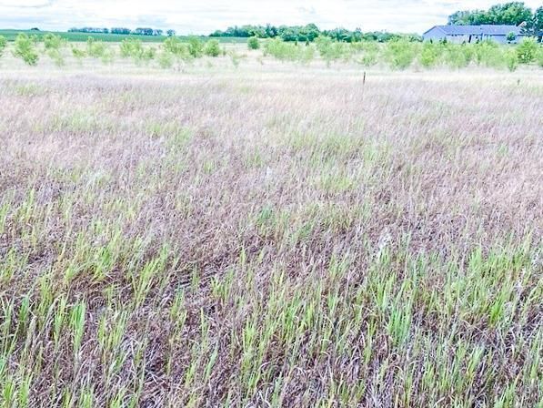 28035 County 2, Grey Eagle, MN 56336