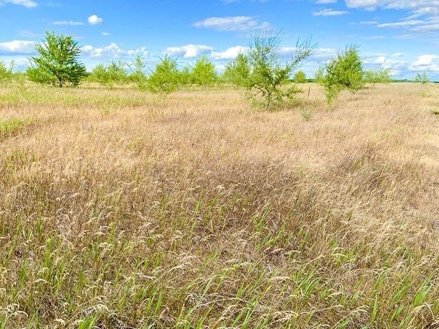 28035 County 2, Grey Eagle, MN 56336