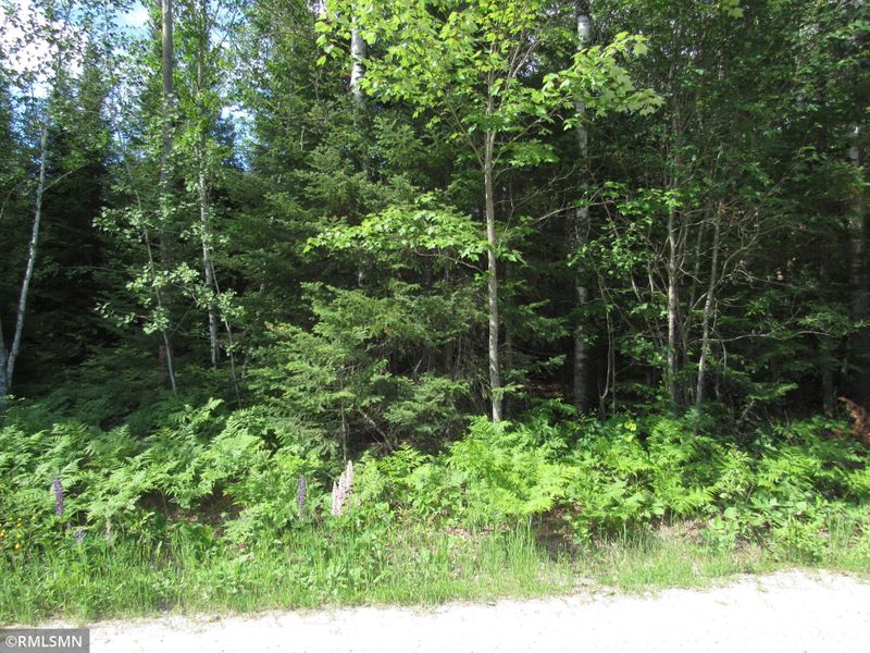 TBD Breezy Point Rd, Tower, MN 55790
