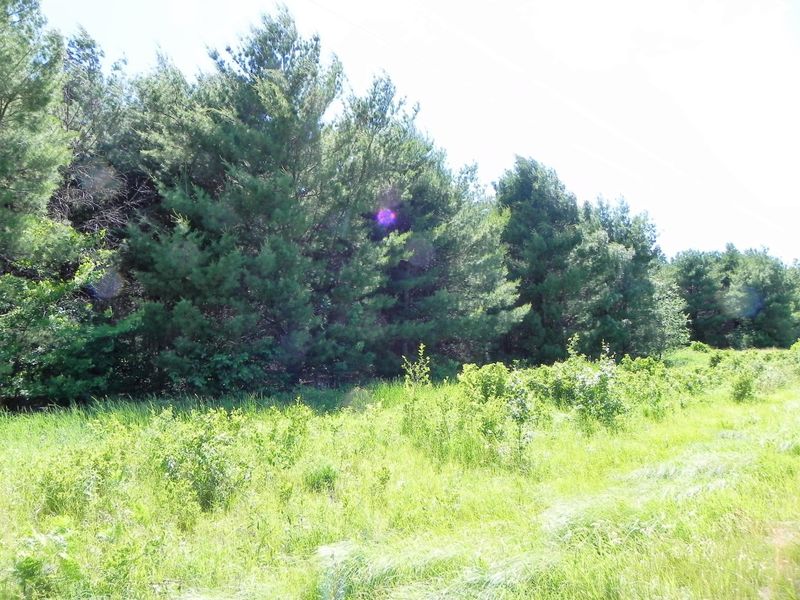 Parcel 1 Fairgrounds Rd, Webster, WI 54893