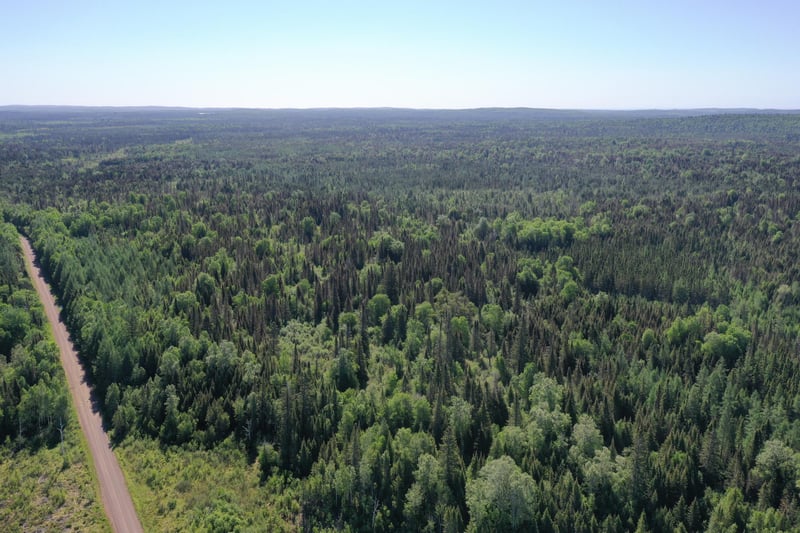TBD E General Grade Rd, Finland, MN 55603