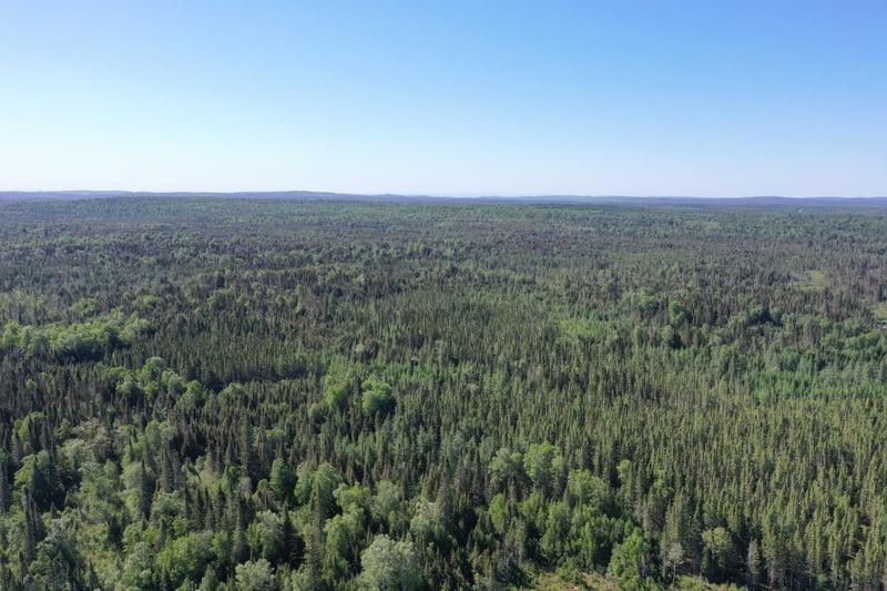 TBD E General Grade Rd, Finland, MN 55603