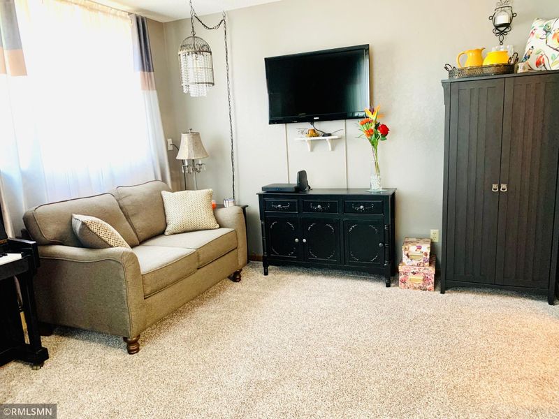 324 S 4th St #101, Le Sueur, MN 56058