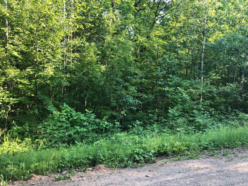 00 Woodpecker Ln, Sandstone, MN 55072