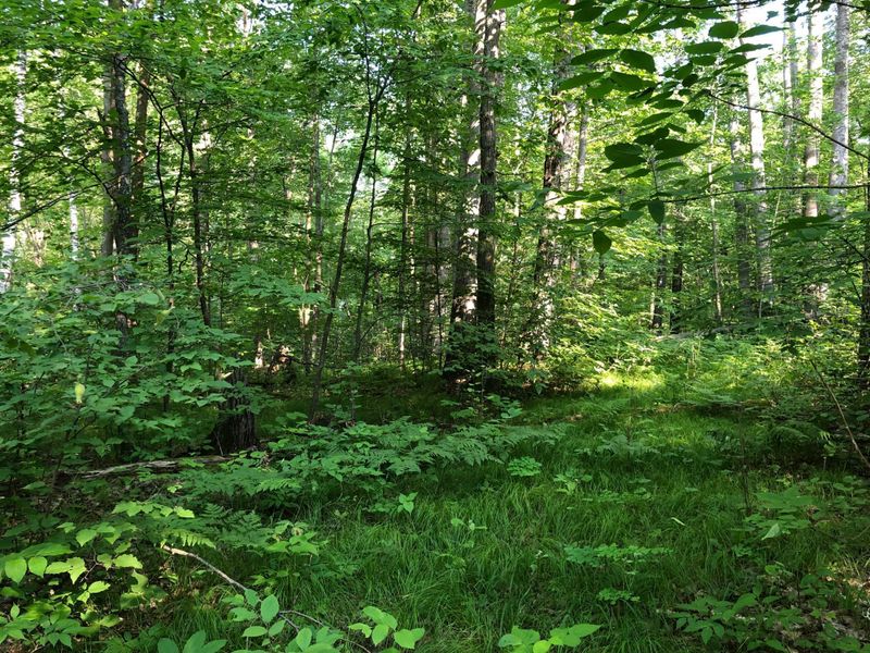 00 Woodpecker Ln, Sandstone, MN 55072