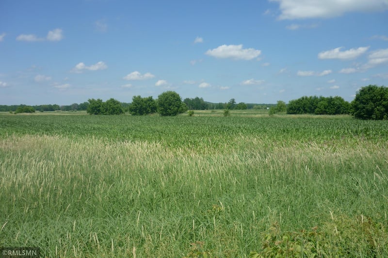 177xx 350th St, Shafer, MN 55074
