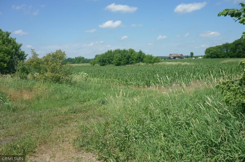 177xx 350th St, Shafer, MN 55074