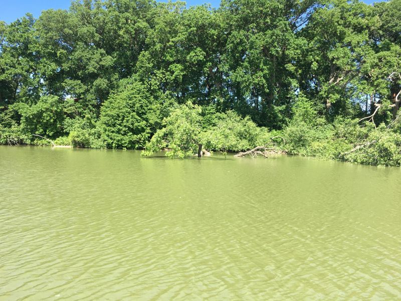 6 N Shore Dr S, Sherburn, MN 56171