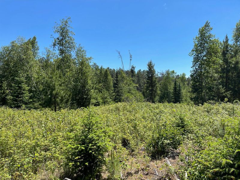 TBD Eagle Haven Trl, Nevis, MN 56467