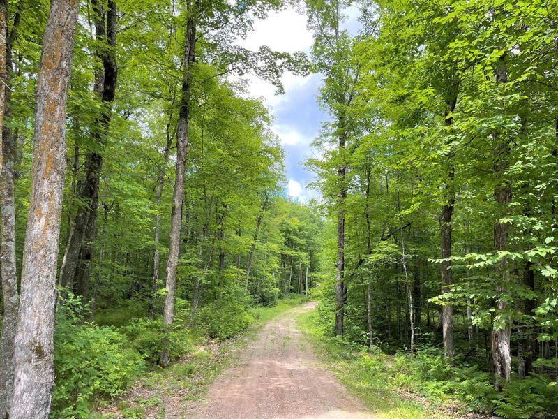W2144 Grob Rd, Sarona, WI 54870