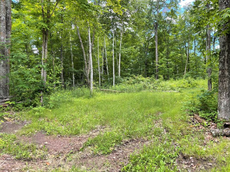 W2144 Grob Rd, Sarona, WI 54870