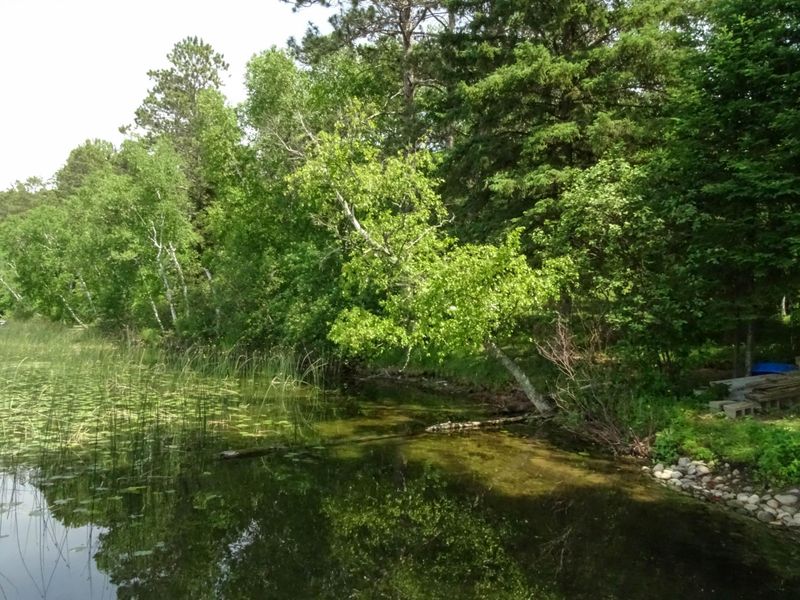 25970 Elk Haven Dr, Nevis, MN 56467