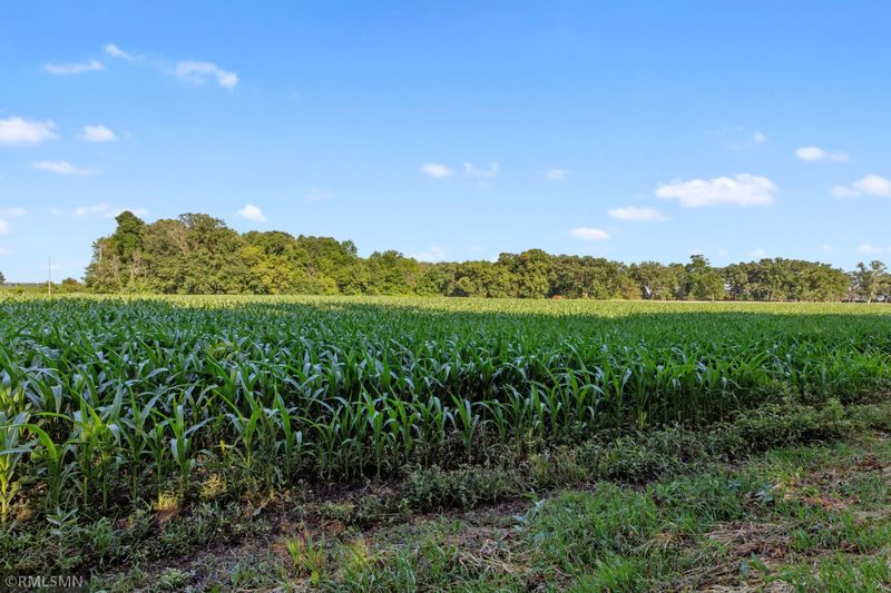XXXX Bergen Rd, Glencoe, MN 55336