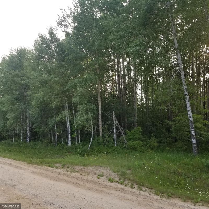 TBD 317th Ave, Cass Lake, MN 56633